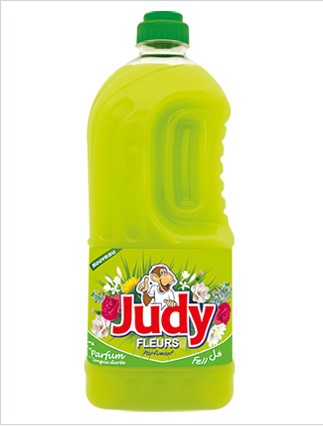 judy sol 4l